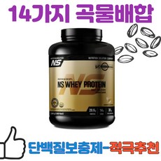 엔에스웨이 단백질보충제 프로틴 헬스보충제 곡물맛 2kg, 1개