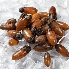 녹동수산 제철 산지직송 참미더덕500g내외, 단품, 단품