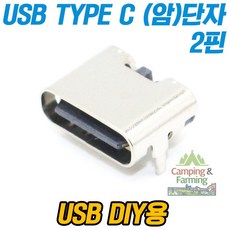 TYPE C USB 포트 USB 타입C 2핀 (Female 암잭), 1개, USB타입C2핀FEMALE