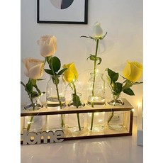 심플한 꽃병 수경재배 한송이 화병 인테리어꽃병 이케바나 우드받침대 구, 투명 2병 HOME