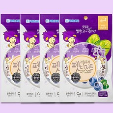 포켄스 강아지 과일퓨레 펫디저트 짜먹는 간식 약먹이기, 블루베리, 105g, 4개