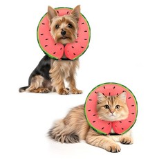 MIDOG 대형견을 위한 도그 콘 칼라 수술 후 부드러운 공기 주입식 도그 콘 대체품 조절 가능한 보호 회복 콘 - 대체 E 칼라는 시야를 차단하지 않습니다(라이온 XS), 수박