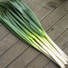 편리한 깐대파 수입 대파 손질대파 업소용 Spring Onion, 1개, 5kg