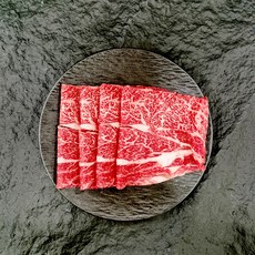 [새롬한우] 2등급 한우등심불고기 샤브샤브용 불고기 밥반찬, 1개, 300g