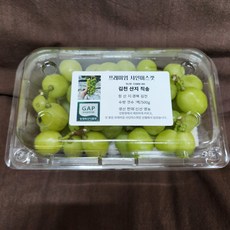 포도 프리미엄 고당도 샤인머스켓 김천 [산지직송], 1박스, 1kg (알송이)