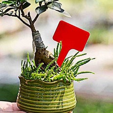 T자형 식물 이름표 레드 나무 화분 spi+57324PD