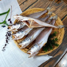 반건조 생선 뾰족조기 뽀족민어조기 제수용 반찬용, 1개, 250~290g(3마리 35cm내외)
