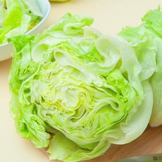 싱싱한 국내산 양상추 6수 (개별포장), 6개
