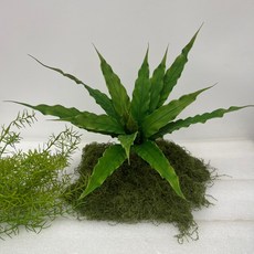 高仿真綠植蕨草綠色蕨類植物腎蕨熱帶雨林軟膠櫥窗景觀造景裝飾, 30cm軟膠鳥巢葉, 1個