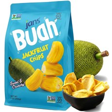 잔스 부아 건조 잭프루트 바이트 - 진짜 과일 경험 프리 Jackfruit Chips 7 Oz | Jans Buah Dried Jackfruit Chips Gluten-Les, 잭푸르트, 7온스(1팩), 1개