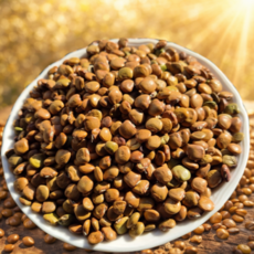 [발아율80%이상] 최우수품종 히카마씨앗 태국직수입 햇히카마씨앗, 1세트, 50g