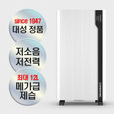 [타임특가] 대성쎌틱 가정용 제습기 미니 소형 원룸 저소음 공기청정 사계절용 12L, 본품