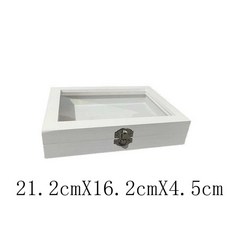 케이스 표본 상자 박제 나비 액자 잠자리 곤충 수업 우드 교육용 수집, 1개, 13.흰색투명수납함21.2X16.2X4.5cm