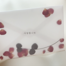 여자친구선물 부모님 생신선물 드라이플라워 압화 선물 편지지 엽서, 기본무지, 그린