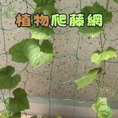 欣榮園藝 植物爬藤網, 1個, 1.8*2.7