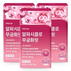 올리트루 알파CD 무궁화핏, 3개, 60정
