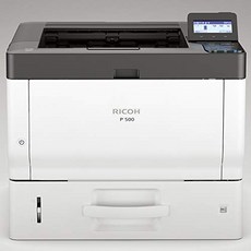 리코 P 500