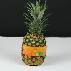 자연미가 고당도 골드 파인애플1입, 1개, 1kg