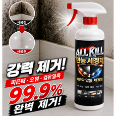 초강력 만능 곰팡이 제거제 벽지 욕실 화장실 베란다 방 올킬 500mL, 1개