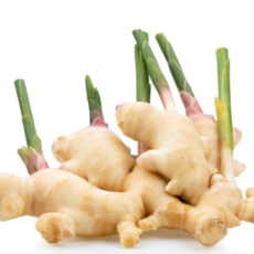 특품 흙생강 면역높이는 국내산 세척생강, 1개, 1kg (특품흙생강)