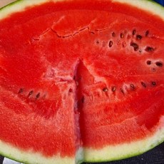 [고당도 보장] 국내산 정품 수박 12brix 수준 고당도 명품 꿀수박 못난이 수박, 1개, 수박 5kg 이상