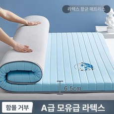 라텍스 매트리스 두꺼운 허리디스크 손님 수면 바닥용 제트, 120x190cm 단일 침대, 1mm, 6.5cm 벤틀리블루 스트레이트 패턴