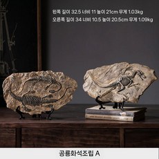 공룡화석 모형 뼈 티라노사우루스 장식 모델 공룡피규어 화석모형 조형물, E