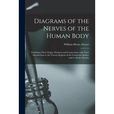 (영문도서) Diagrams of the Nerves of the Human Body: Exhibiting Their Origin Divisions and Connections ... Paperback, Legare Street Press, English, 9781014653666