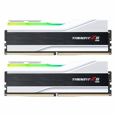 G.SKILL R5-7200 CL36 TRIDENT Z5 RGB J 실버 패키지 (48GB(24Gx2)), 2개