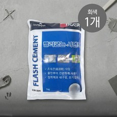 승현 빨리굳는 시멘트 회색 초속경 시멘트 1kg, 1개
