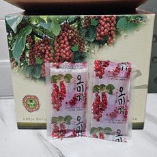 문경오미자 오미자즙 50팩 1박스, 50개, 100ml, 1개, 50개입