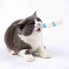 완자스토어 반려동물 젖병 세트 60ml 고양이용품, 60ml 색상 랜덤
