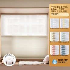 전동 이중 암막 커튼 자동 듀얼 모터 스마트 룸 블라인드