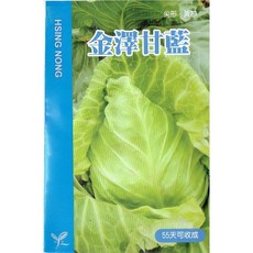 興農種苗 金澤甘藍種子，家庭園藝蔬菜種子，易種植，55天可收成, 1個