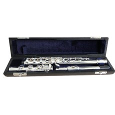 휴대용 케이스 경량 악기 클라리넷 플루트 싱글백 초경량 하드 보호 수납함, 16홀 플루트 케이스