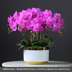 화분 가짜꽃 인테리어 서양난 호접란 사무실 장식 승진, 퍼플레드 화이트 골드 화분