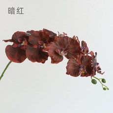 高檔9頭歐式蝴蝶蘭仿真花絹布假花攝影道具家居擺件裝飾花仿真花永生花人造花乾燥花永不凋零拍照道具假花裝飾居家裝飾, 暗紅, 1個