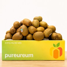 그린키위 대과 점보 고당도 뉴질랜드 신선 키위, 1박스, 1.4kg