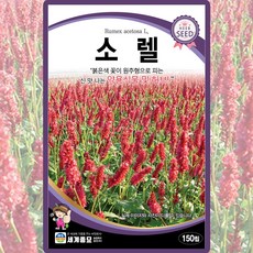 세계종묘 산들마켓 소렐 씨앗 150립 소렐씨 약용식물 허브 종자, 1개