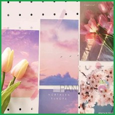 핑크톤 인테리어엽서 모음 그림엽서 frs+spEMbY, 1개, 단일