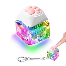 Kabvry 키보드 피젯 키체인 고양이 발바닥 피젯 클리커 LED 조명 포함 성인 어린이 자폐증 ADHD용 감각 스트레스 완화 장난감 어린이 유아 여아 및 남아용 부활, LED 고양이 발바닥