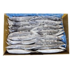 냉동 꽁치1번68미내외9.17kg1박스 25년8월생산 최상급 구이 조림 갈치통발낚시, 1박스, 9.17kg