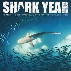 (英文圖書)Shark Year 2026 12 X 12 Wall Calendar Spiral, Willow Creek Press Calendars, 英文, 螺旋式