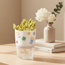 간편하고 쉽게 콩나물 키우기 키트세트 (관찰일기 포함), 1개