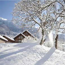 스튜디오배경지 유튜브 설산 링조명 배경 배경지 배경천, 2x1.5m, 1개, 와인레드