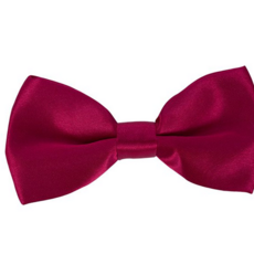 루체트리 나비넥타이 진와인 솔리드 유아용 보타이 어린이 정장 액세서리 CNV9006