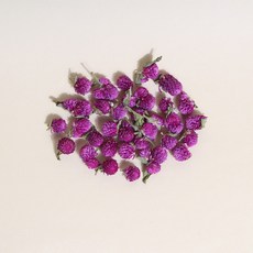 화연양화 프리저브드 드라이플라워 열매 천일홍 8색, 04 퍼플베리