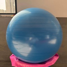 짐볼의자 고정대 짐볼체어 홈트 밸런스 코어운동 55cm 블랙볼+링+펌프 요가, D. 85cm, F. 반투명 요가 볼-블루에어 펌프 포함