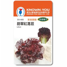 農友種苗 甜翠紅萵苣種子 家庭園藝 特選品種 生菜沙拉, 1個