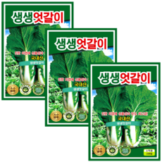 생생 엇갈이씨앗 (2000립x3) 국내산 얼갈이 배추씨앗 김치 채소씨앗, 3개
